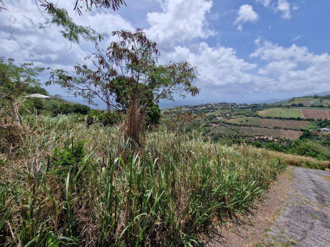Terrain Le Carbet - photo 2
