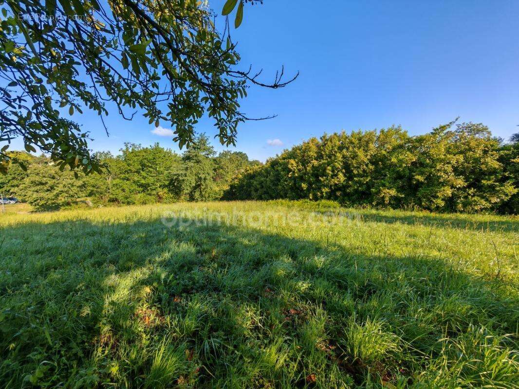 BAISSE DE PRIX !! Terrain constructible de 1 650m² situé à EAUZE (32) - photo 4