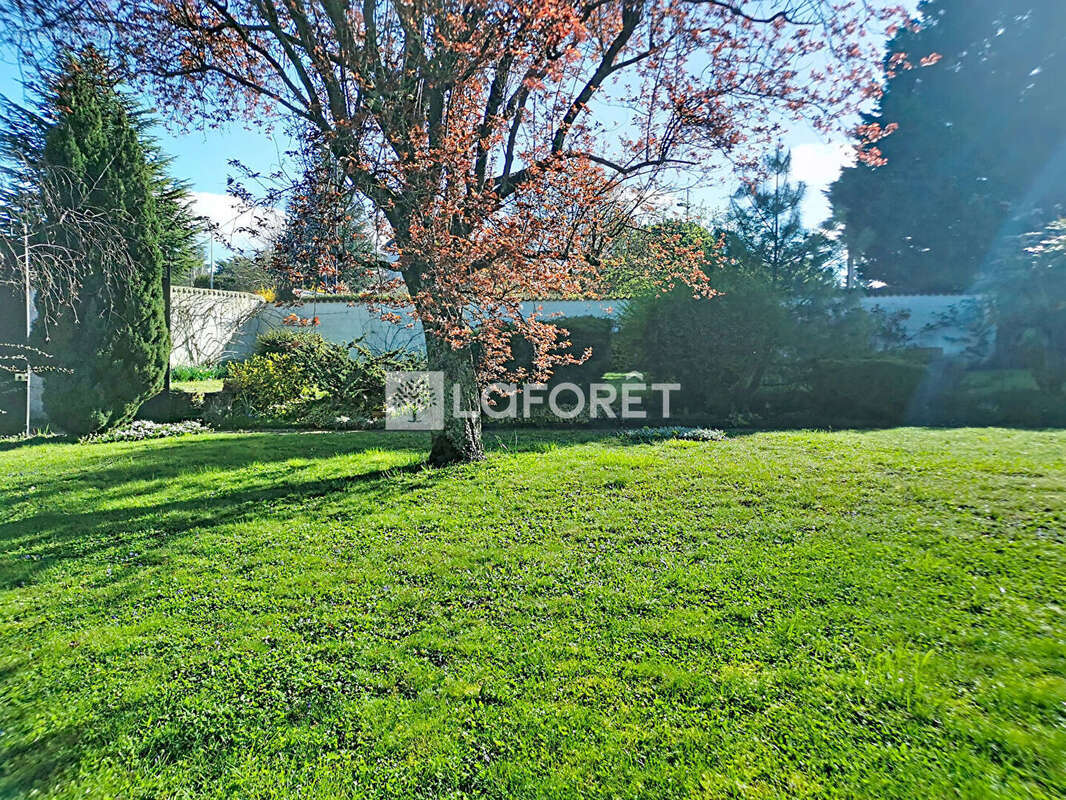 Terrain à NEUVILLE-SUR-SAONE