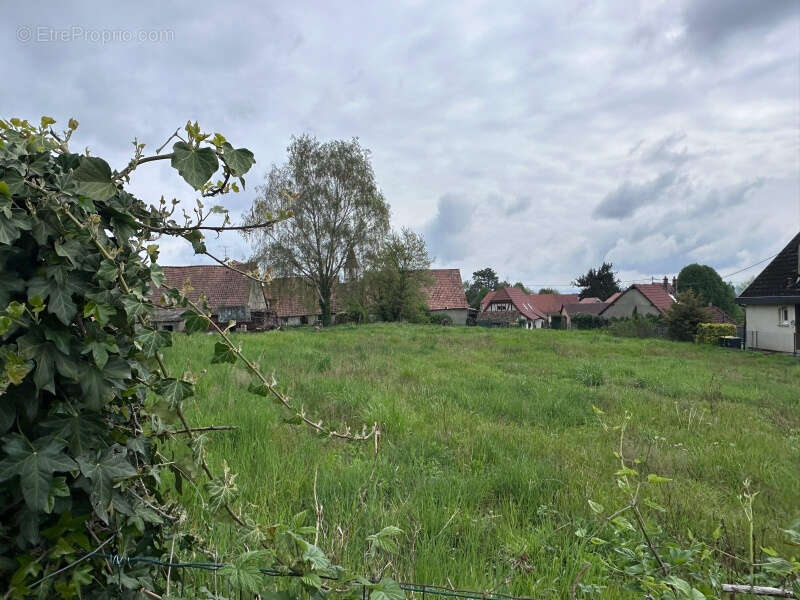 Terrain à ESCHENTZWILLER