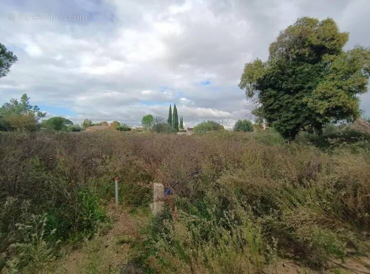Terrain à LE MUY