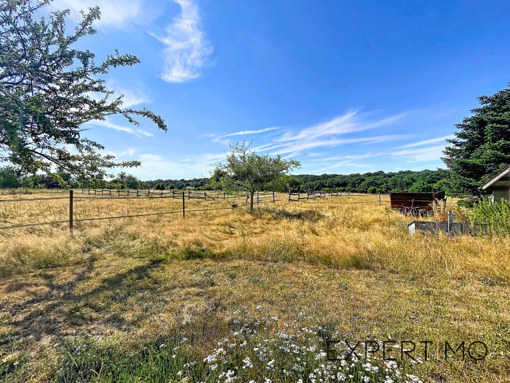 28270 - la manceliere - propriete equestre - maison 155 m2 - 4 chambres - 2,1 ha de terrain - photo 9