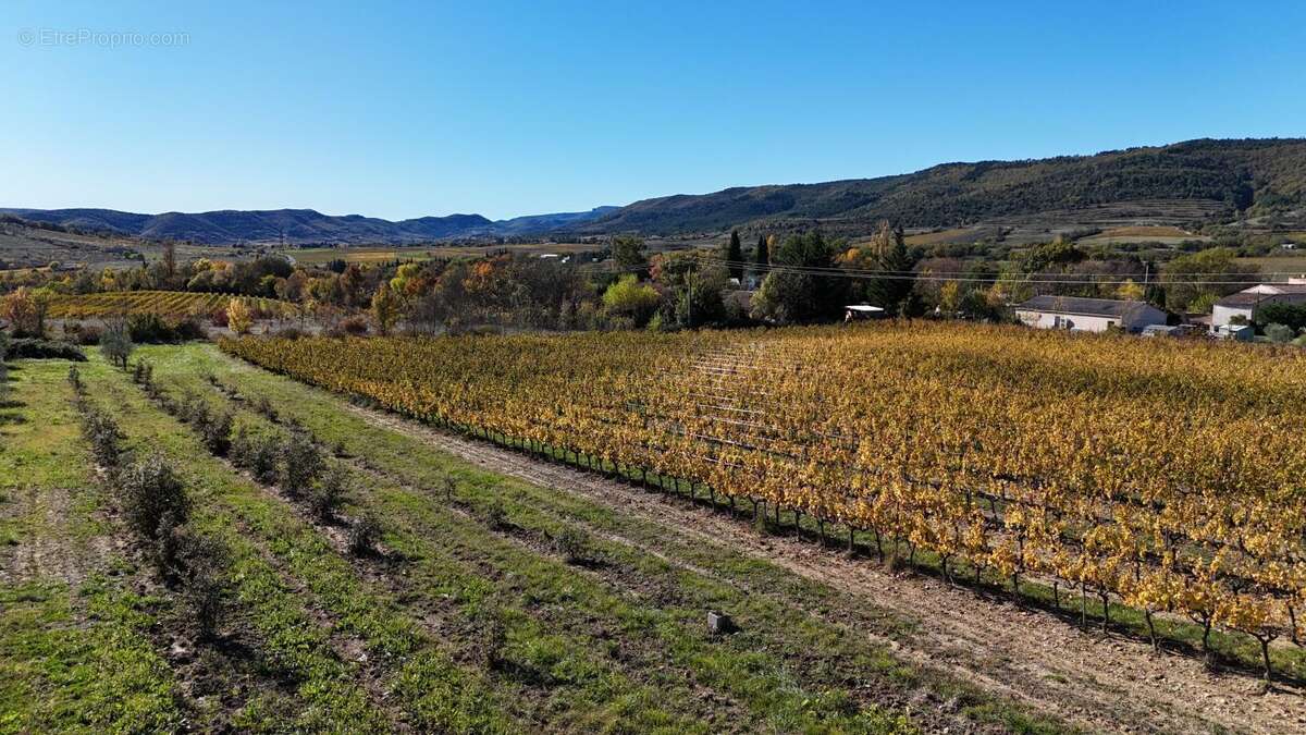 Appartement à ALBA-LA-ROMAINE