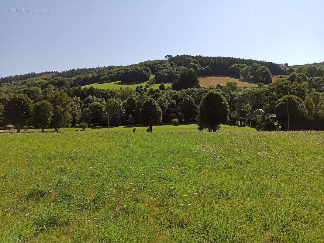 Terrain à LA SALVETAT-SUR-AGOUT