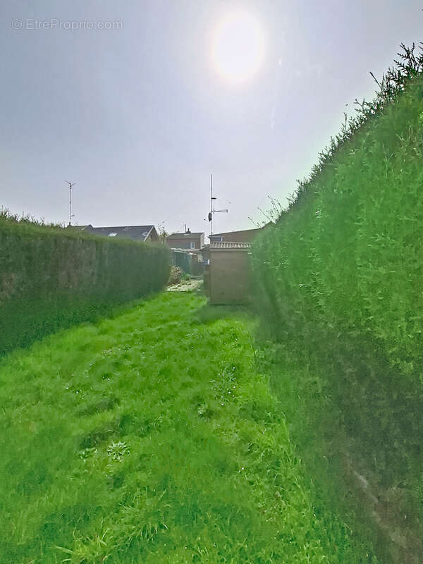 Maison à QUIEVRECHAIN