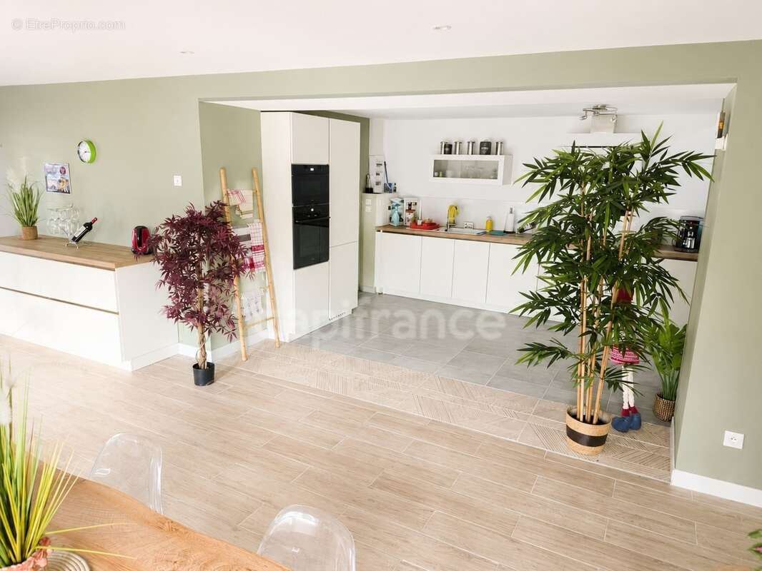 Propriété d'exception – 2 logements, piscine, hangars, idéal activité professionnelle - photo 6