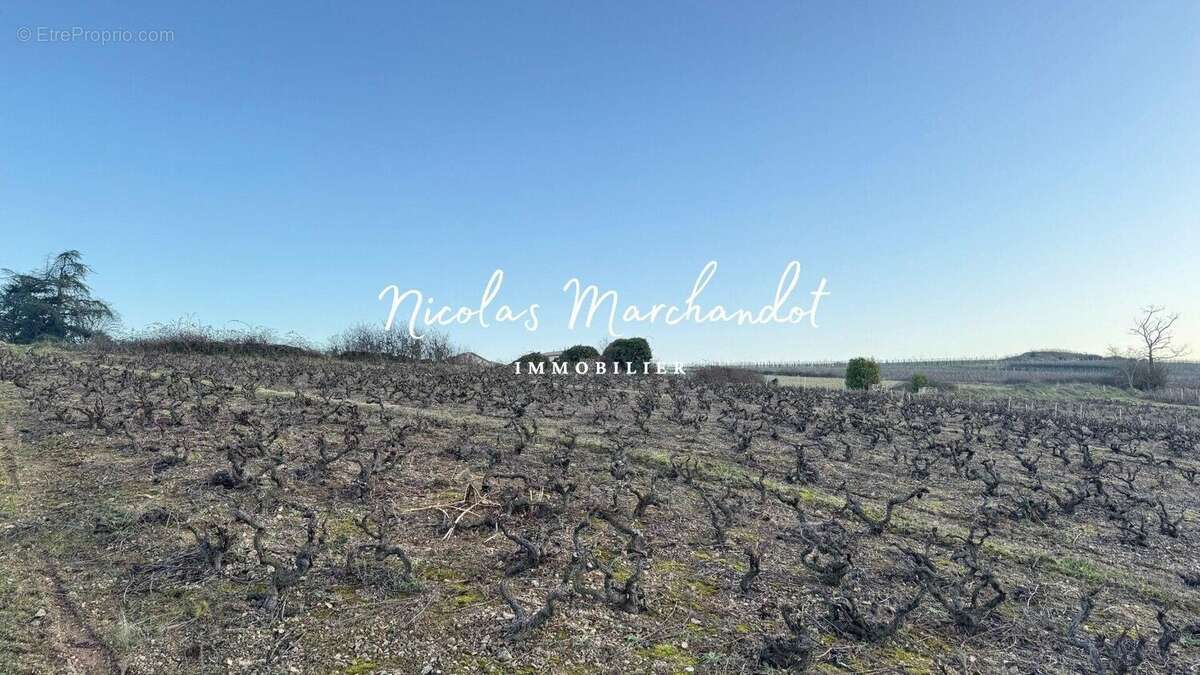 Photo 5 - Commerce à LANTIGNIE