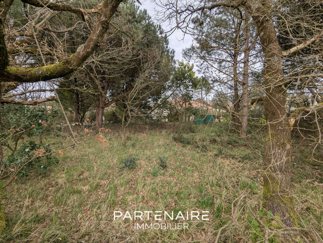 Terrain à LES SABLES-D'OLONNE