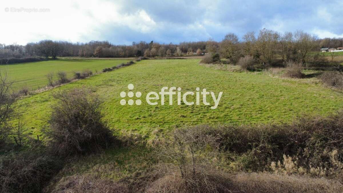 Terrain à LA MOTTE-DE-GALAURE