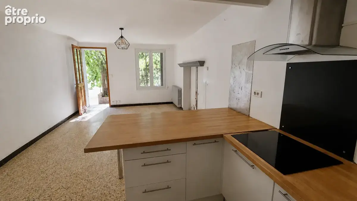 VILLELAURE: MDV de 256 m2 (utile) avec garage, cour et annexes - photo 4