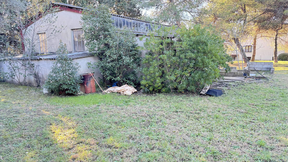 Commerce à MONTPELLIER