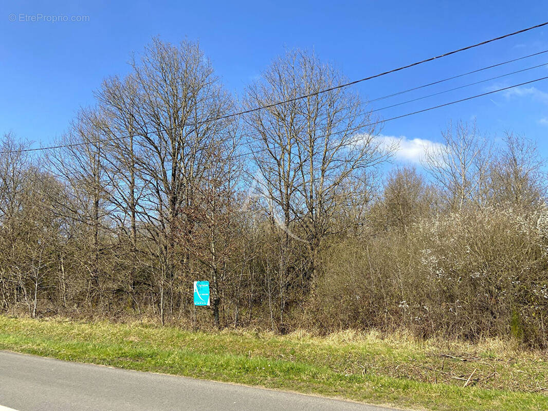 Terrain à VITRY-AUX-LOGES