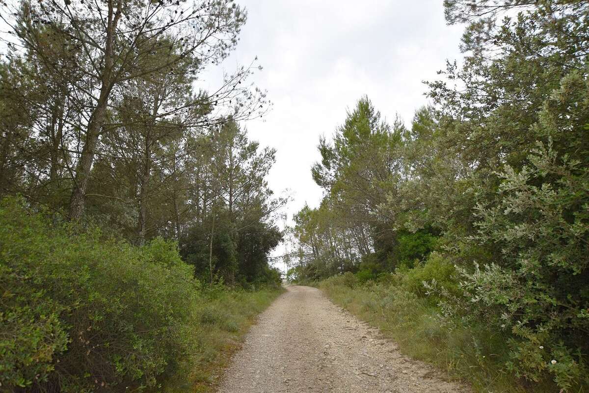 BOS NEGRE - Terrain à VIC-LE-FESQ