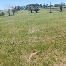 Terrain à SAINT-PROJET