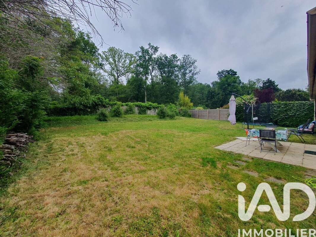 Photo 4 - Maison à SAINT-AVERTIN