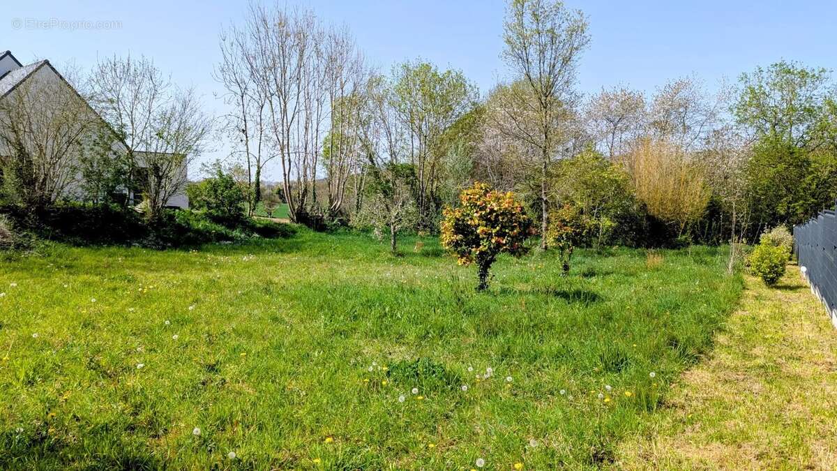 Terrain à PLOMODIERN