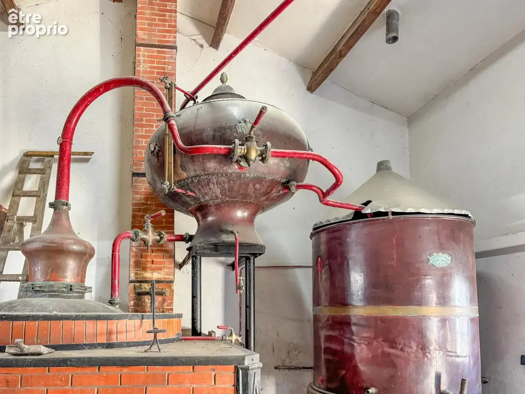 Ancienne propriété viticole avec dépendances, alambic et piscine - photo 16
