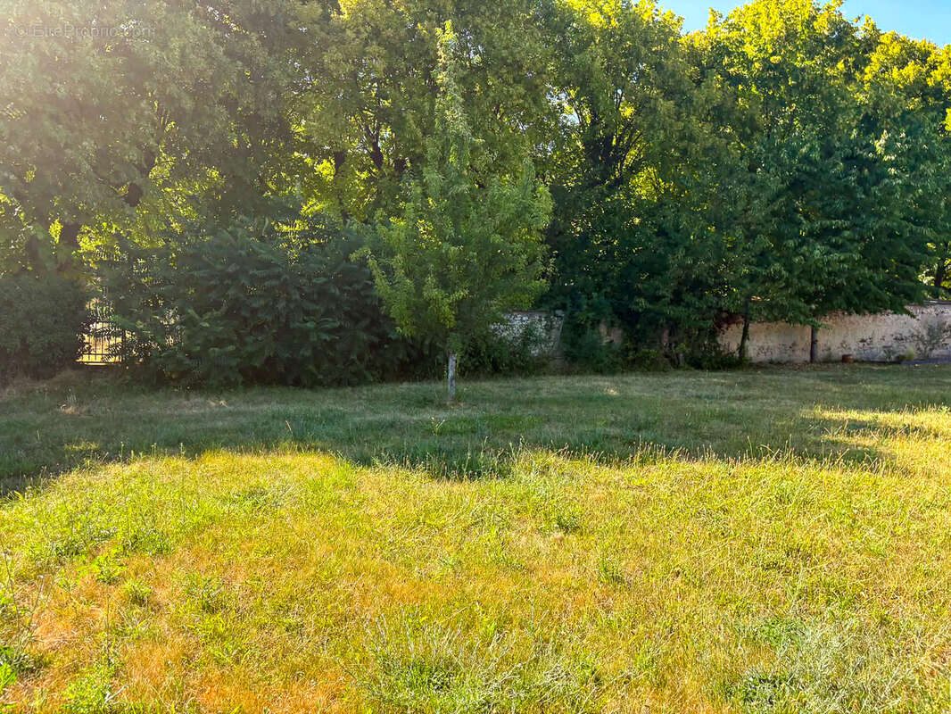 Terrain de 717m2 constructible - photo 4
