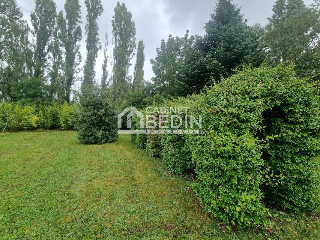 Terrain à LANGOIRAN