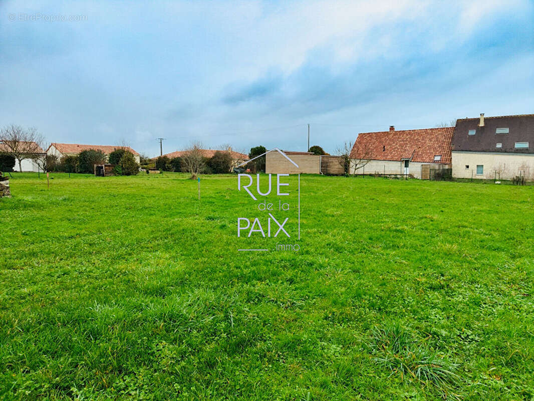 TERRAIN CONSTRUCTIBLE 2105m²  pour 3 constructions - photo 2