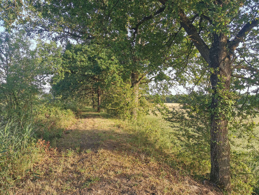 Terrain à SAINT-JULIEN-SUR-CHER