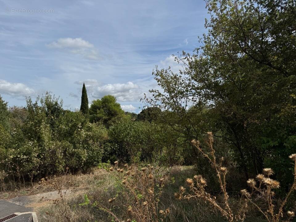 Terrain à MONTPELLIER