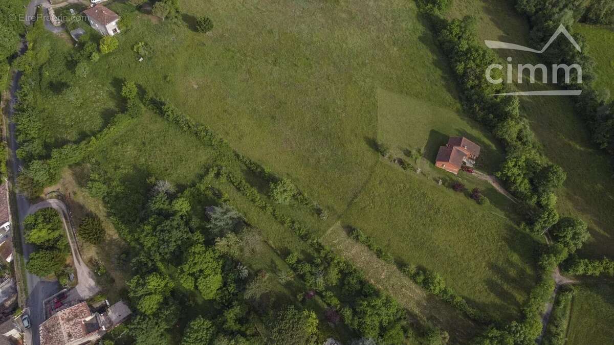Terrain à CORDES-SUR-CIEL