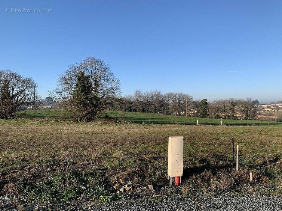 Terrain à SAINT-PERE-EN-RETZ