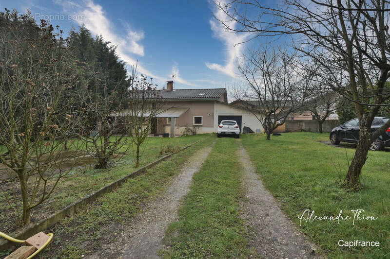 Maison à RIGNIEUX-LE-FRANC