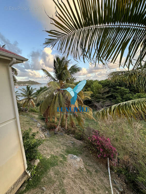 Appartement à SAINT-MARTIN