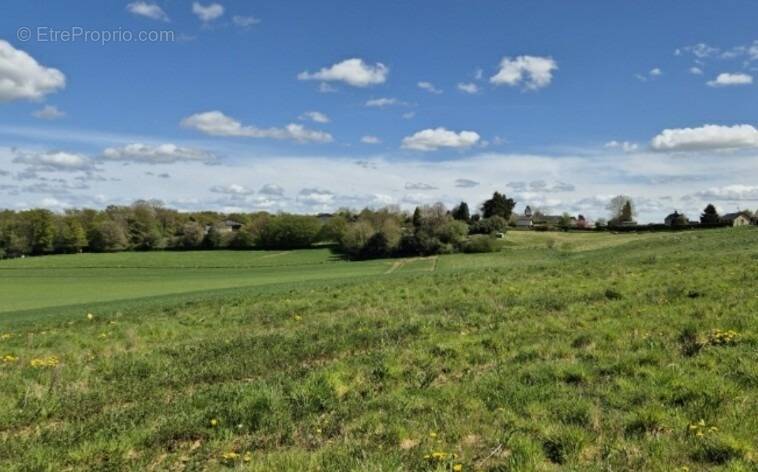 Terrain à LA NEUVILLE-DU-BOSC