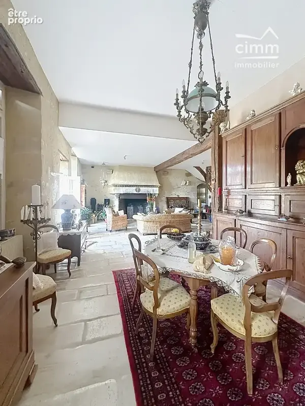 Maison 7 pièces 241 m² à vendre à Saint-Gondon (45500) - photo 7