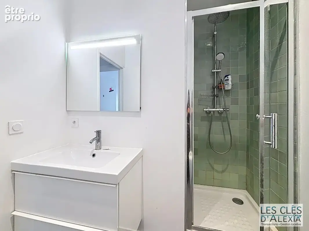 T4 de 76,56 m² -  avenue berthelot lyon 7 avec cave - photo 15