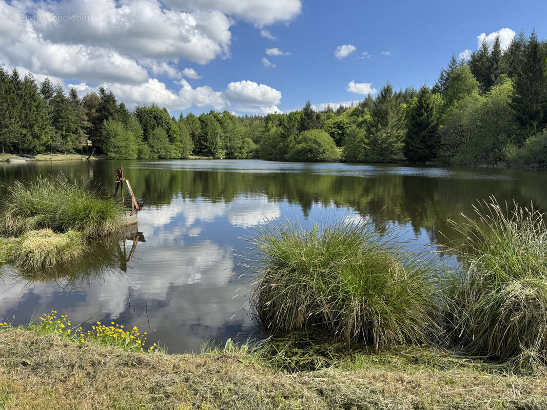 Terrain à LORMES