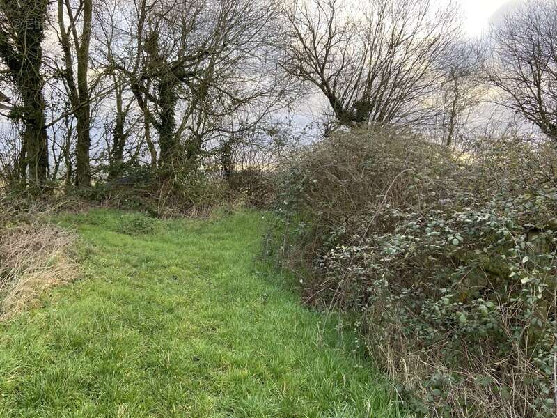 Maison à SAINTE-SCOLASSE-SUR-SARTHE