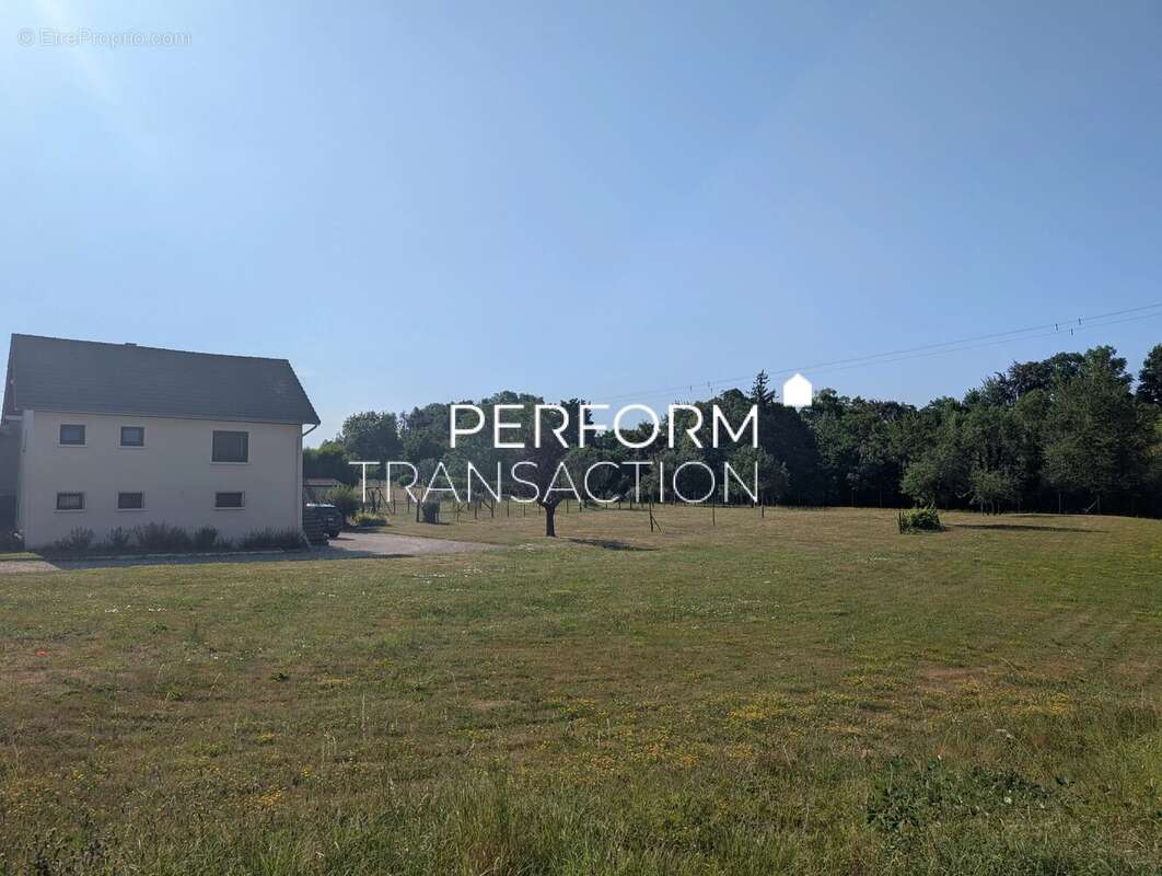 Tènement immobilier sur parcelle de 3981m² - photo 14