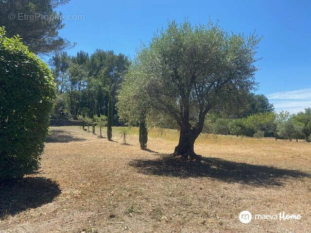 Terrain à LE BEAUSSET