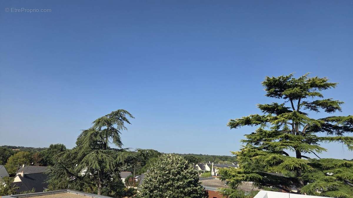 Appartement - photo 8