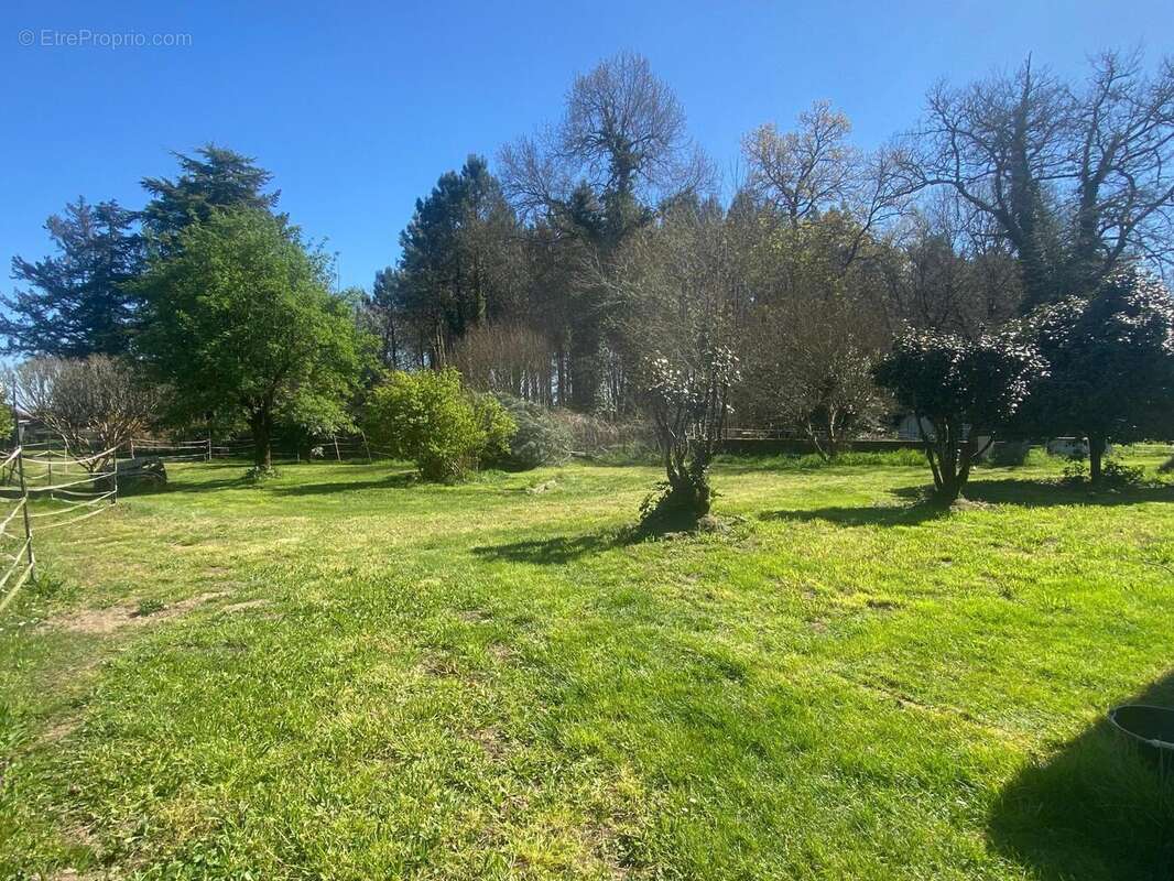 Photo 4 - Maison à MONT-DE-MARSAN