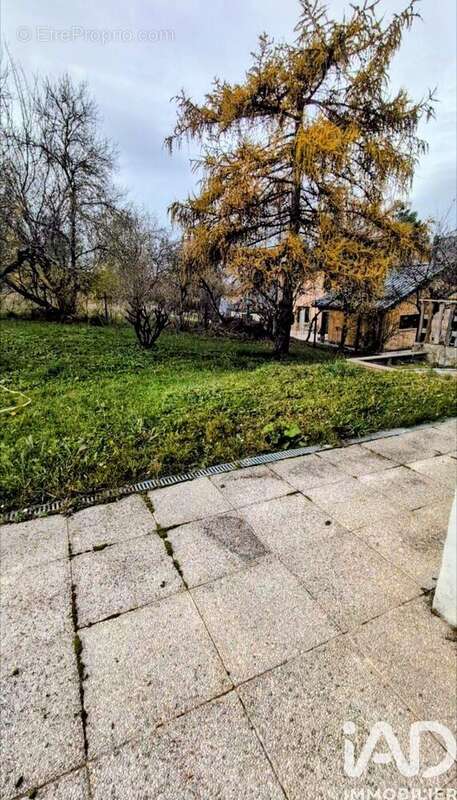 Photo 4 - Maison à SAINT-JEAN-DE-THOLOME