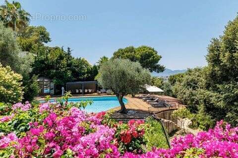 Maison 384 m² à Cannes  - photo 2