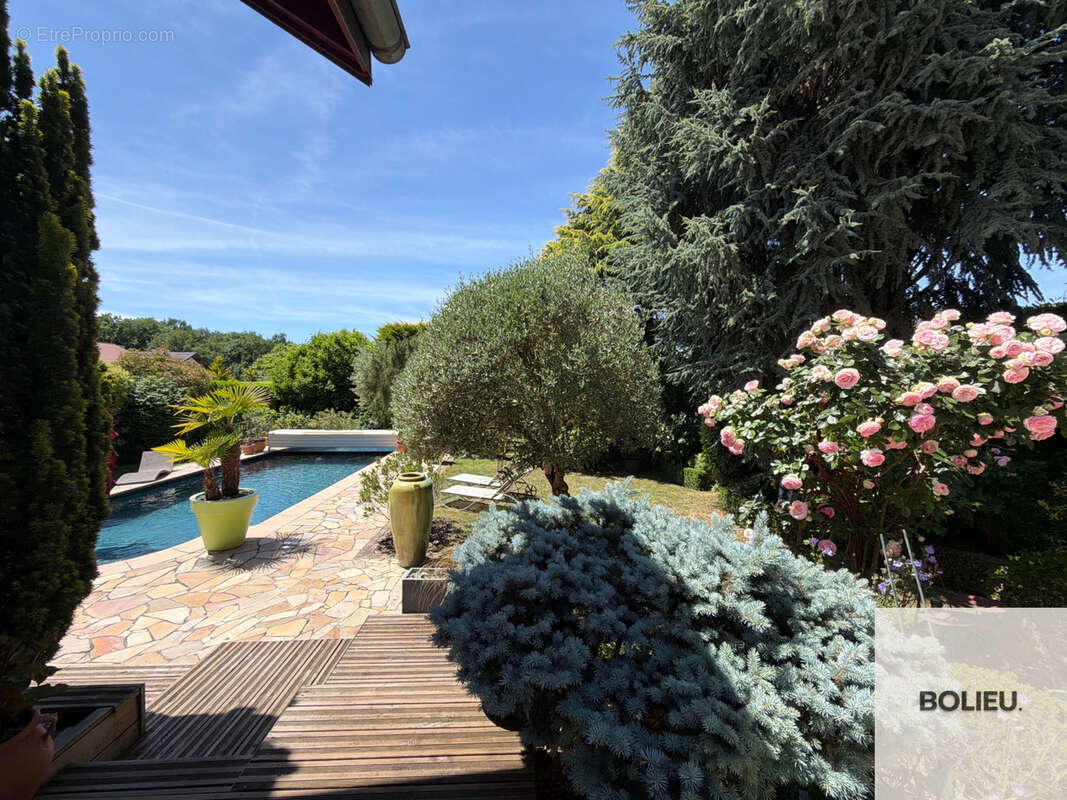 Cranves-Sales - Spacieuse villa avec piscine + Dépendances - photo 22