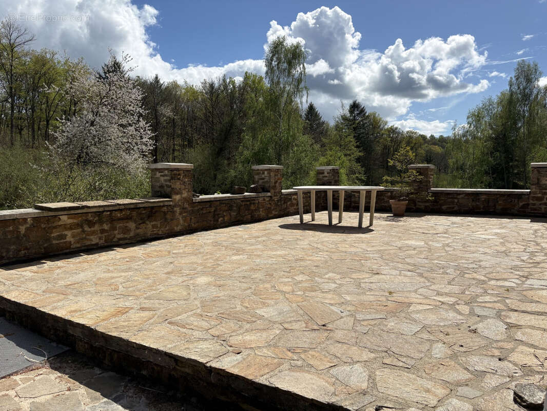 Château Chervix maison de 4 pièces, étang, bois et 3,36 ha sans voisinage - photo 13