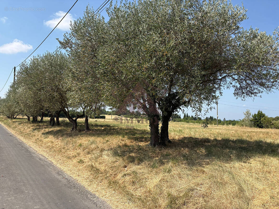Terrain à SAINT-HILAIRE-DE-BRETHMAS