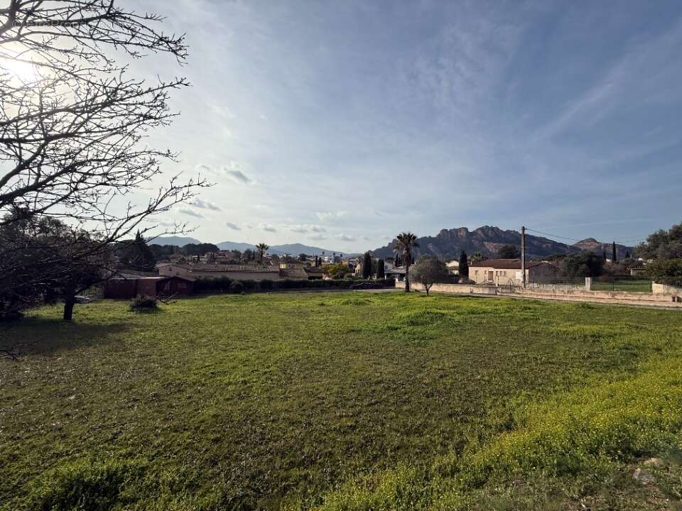 Terrain à ROQUEBRUNE-SUR-ARGENS
