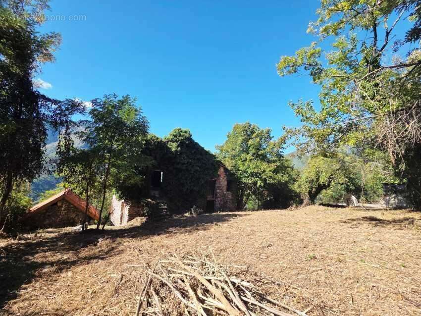 Appartement à BELVEDERE