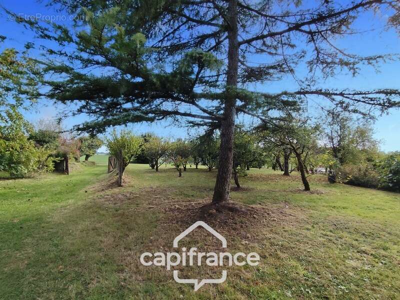Longère à vendre 5 pièces EVAILLE (72)  -  terrain de 2309 m² - photo 9