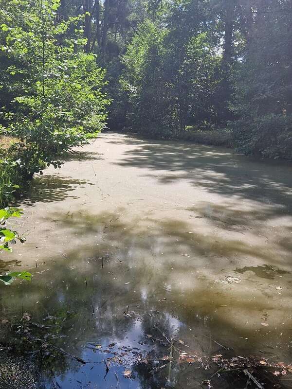 Terrain à PARGNY-FILAIN