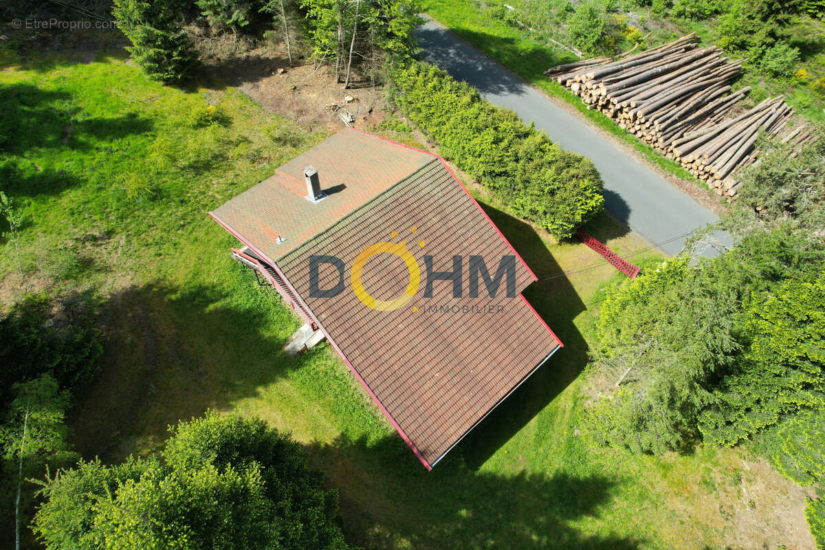 Chalet sur 7819 m2 de terrain + possibilite 15130 m2 en plus  . 155 m2 habitables - photo 11