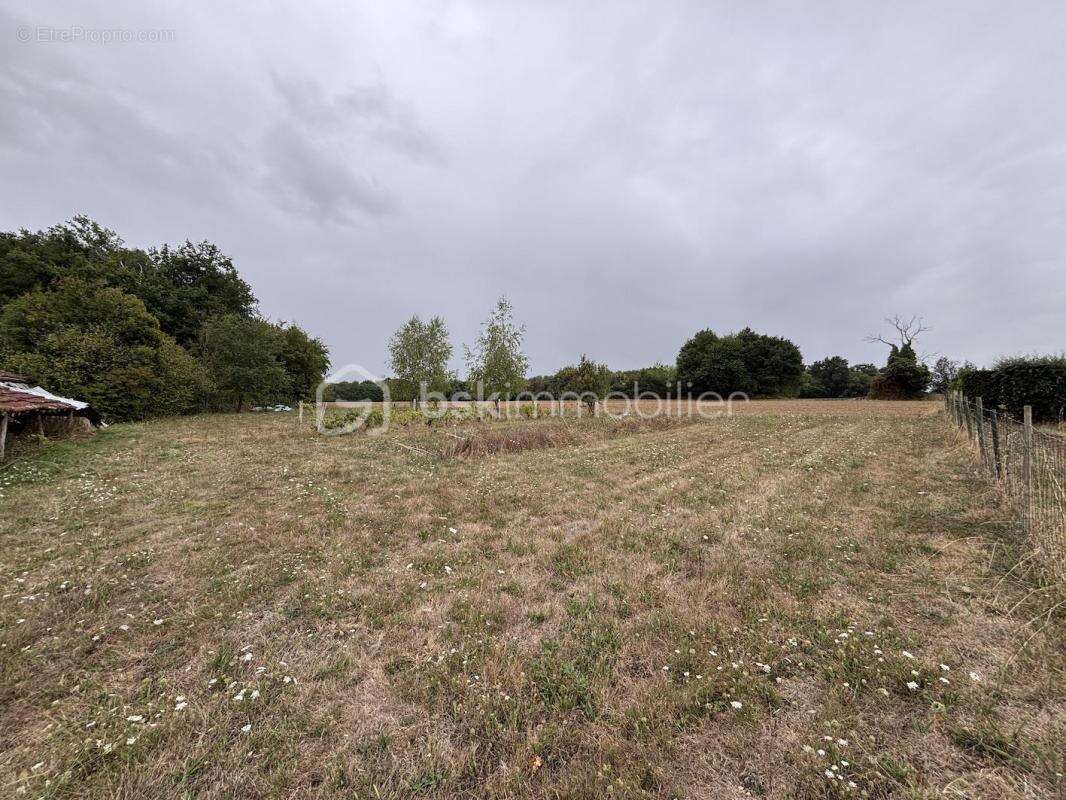 Maison en pierre 168m2 + Dépendances – Val-de-Bonnieure - photo 3
